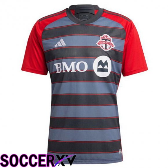 Toronto FC Soccer Jersey Away Grey 2023/2024