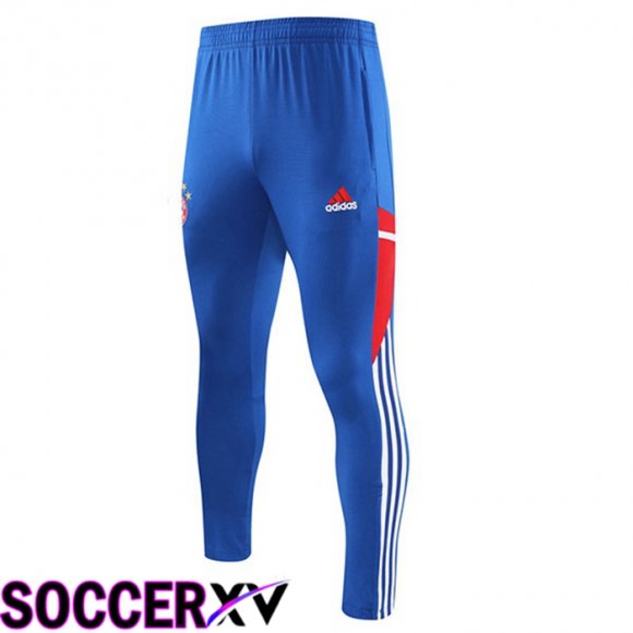 Bayern Munich Training Pants Blue 2023/2024