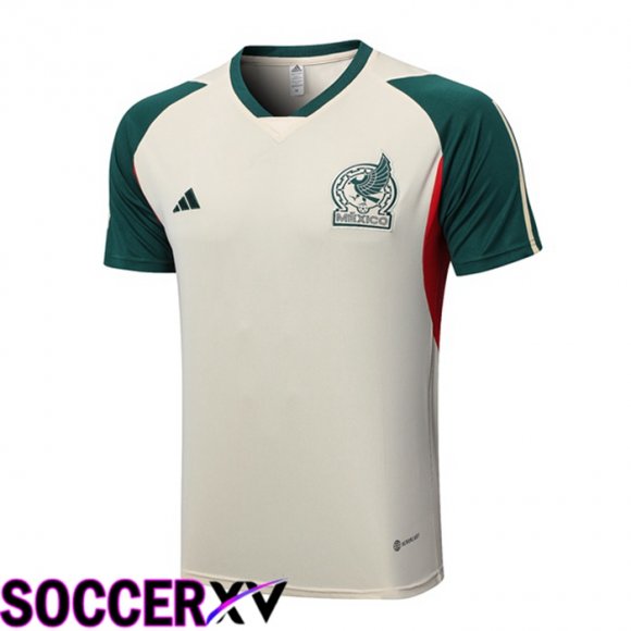 Mexico Training T Shirt Brown 2023/2024