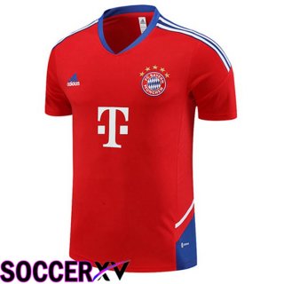 Bayern Munich Training T Shirt Red 2023/2024