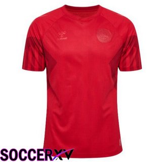 Denmark Home Jersey Red 2023/2023