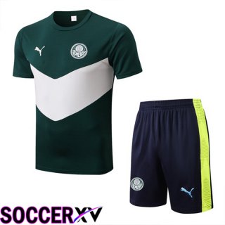 Palmeiras Training T Jersey + Shorts Green 2022/2023