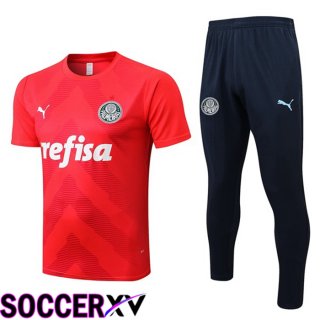 Palmeiras Training T Jersey + Pants Red 2022/2023