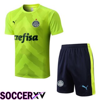 Palmeiras Training T Jersey + Shorts Green 2022/2023