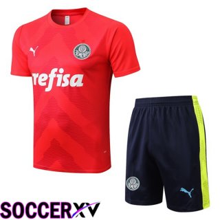 Palmeiras Training T Jersey + Shorts Red 2022/2023