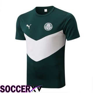 Palmeiras Training T Jersey Green 2022/2023