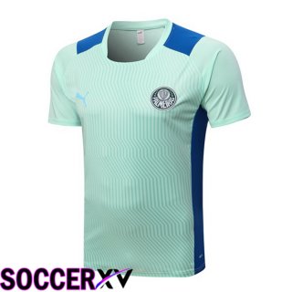 Palmeiras Training T Jersey Green 2022/2023