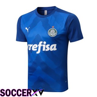 Palmeiras Training T Jersey Blue 2022/2023