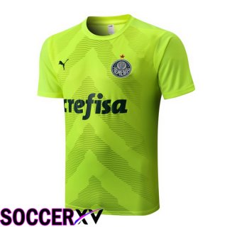 Palmeiras Training T Jersey Green 2022/2023