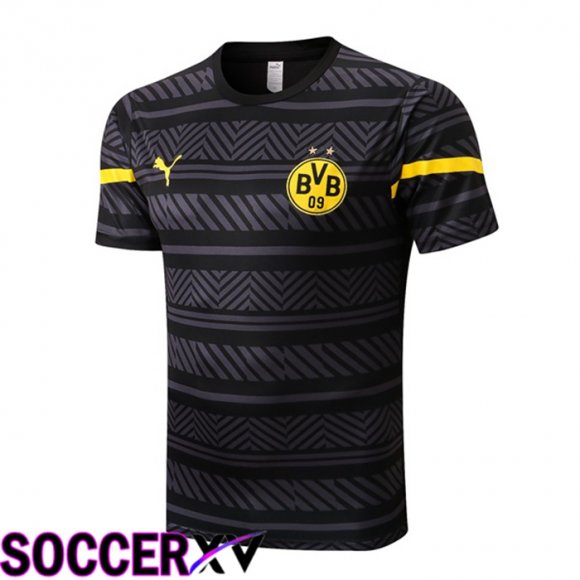 Borussia Dortmund Training T Jersey Grey 2022/2023