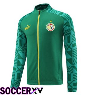 Senegal Training Jacket Green 2023/2024