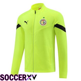 Senegal Training Jacket Green 2023/2024