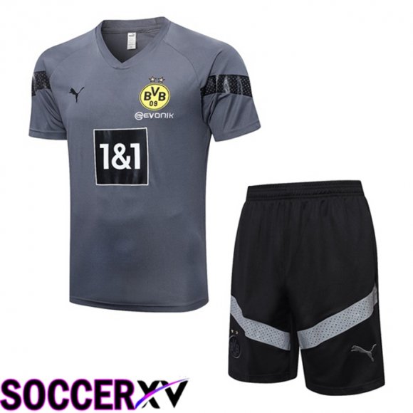 Borussia Dortmund Training T Shirt + Shorts Grey 2023/2024