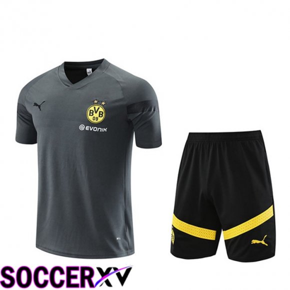 Borussia Dortmund Training T Shirt + Shorts Grey 2023/2024