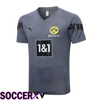 Borussia Dortmund Training T Shirt Grey 2023/2024