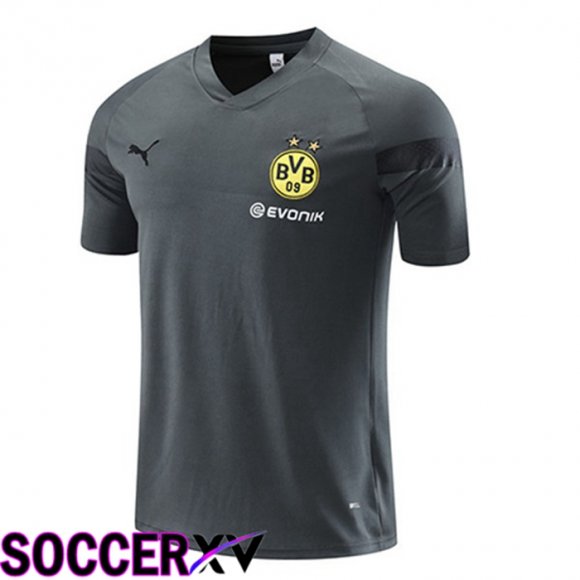 Borussia Dortmund Training T Shirt Grey 2023/2024