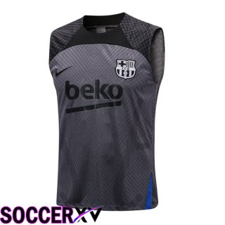 FC Barcelona Soccer Vest Grey 2022/2023