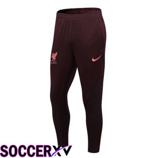 FC Liverpool Training Pants Red 2022/2023