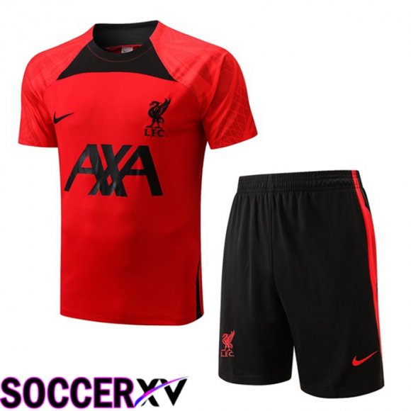 FC Liverpool Training T Jersey + Shorts Red 2022/2023