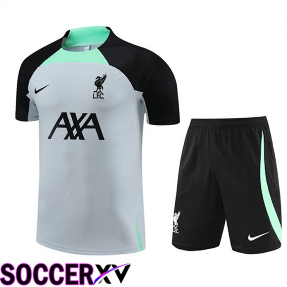 FC Liverpool Training T Shirt + Shorts Grey 2023/2024