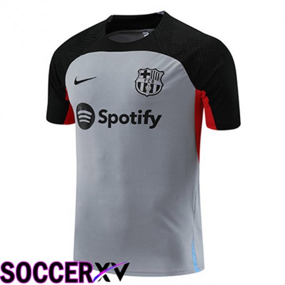 FC Barcelona Training T Shirt Grey 2023/2024