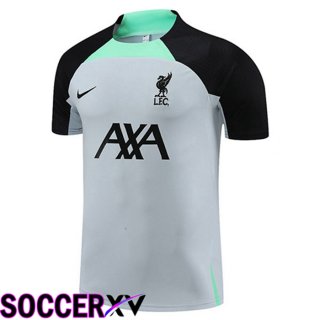 FC Liverpool Training T Shirt Grey 2023/2024